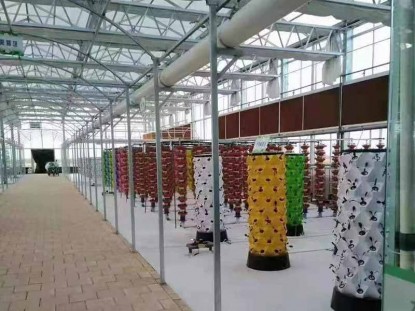 陽光板溫室生態餐廳