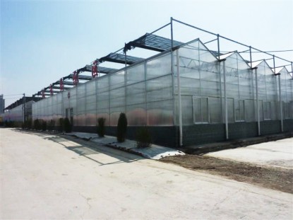 智能陽光板溫室