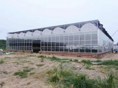 連體薄膜溫室