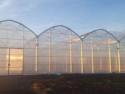 智能陽光板溫室