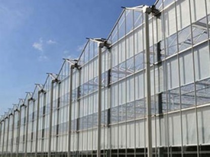 智能陽光板溫室