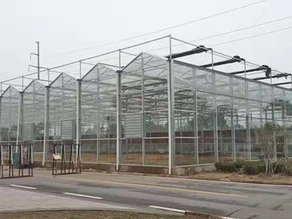 連棟玻璃溫室