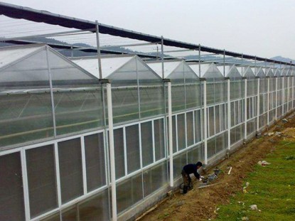 智能陽光板溫室