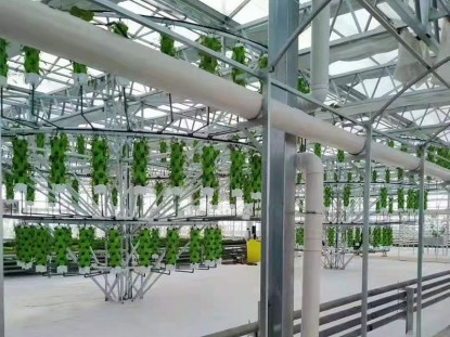 陽光板溫室生態餐廳