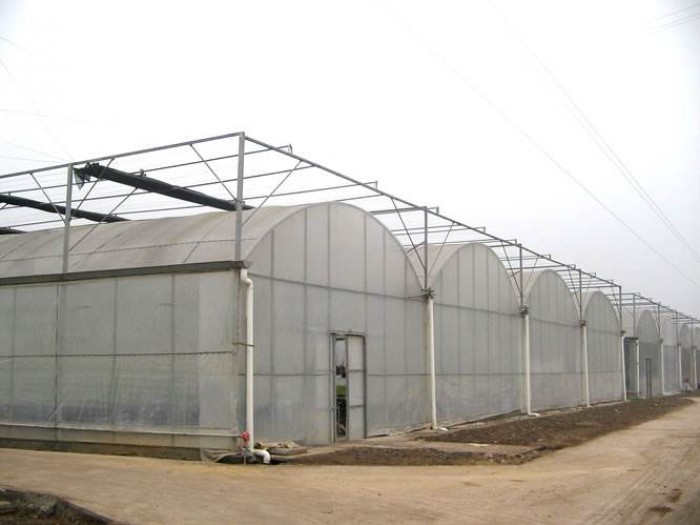 連體薄膜溫室