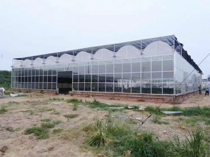 連體薄膜溫室