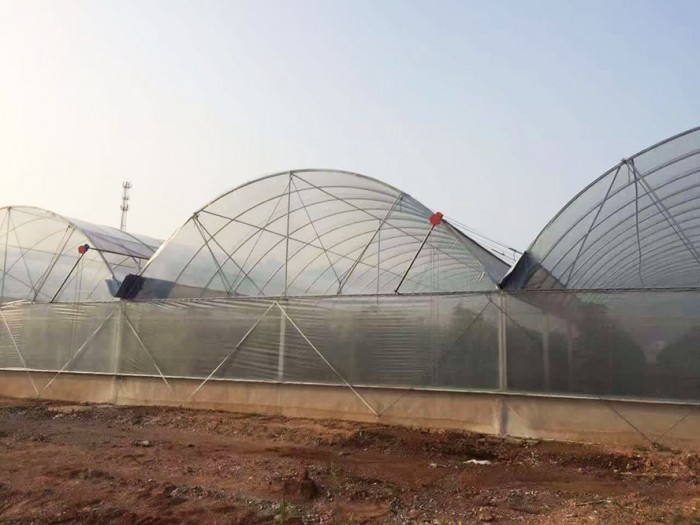 連體薄膜溫室
