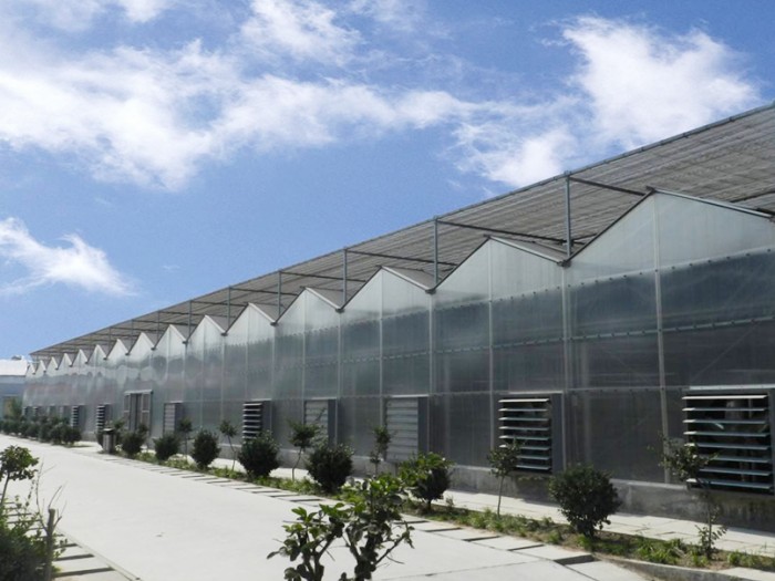 智能陽光板溫室