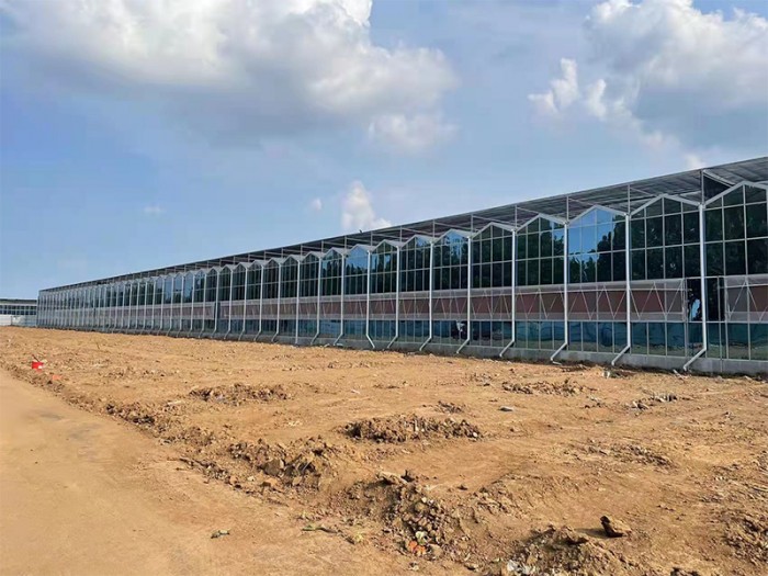 智能陽光板溫室